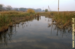 Река Бык в половодье у Стрэшень (2011 г.)