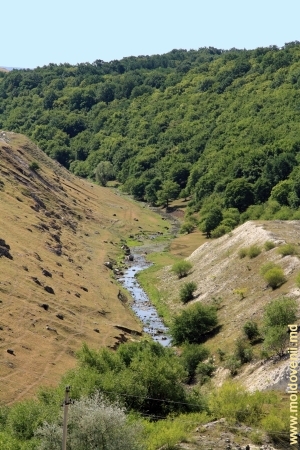 Valea rîului Racovăţ de la marginea satului Gordineşti