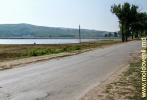 Lac de acumulare semisecat pe rîul Lăpușna, satul Negrea, Hîncești