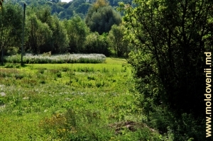 Afluentul rîului Ciuhur ‒ Ciuhureţ (Ciuhurel) şi valea acestuia din preajma satului Mihălăşeni