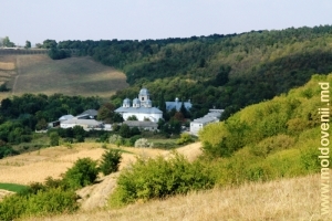 Вид со склона холма на монастырь Добруша