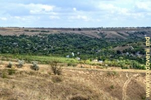 Вид села Вэрэнкэу, Сорока с холмов над ним 