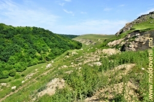 Крутые склоны долины Раковца перед входом реки в Володенское ущелье