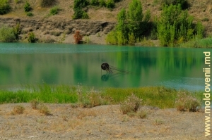Голубое озеро (Залитый водой отработанный аргеллитовый карьер)