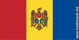 Стандартное графическое изображение Государственного флага
(цветное), оборотная сторона