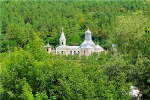 Mănăstirea Cosăuţi, plan din depărtare din partea cimitirului mănăstirii