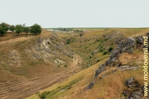 Ущелье у села Вэратик