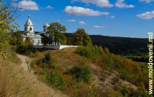 Вид на верхнюю часть села Наславча с церковью