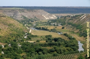 Реут в дальней части села Бутучень, вид на восток с правого склона Бутученского ущелья