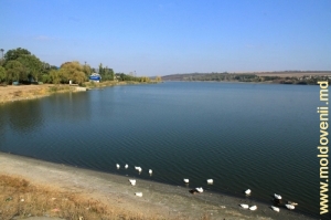 Городское озеро Унген 