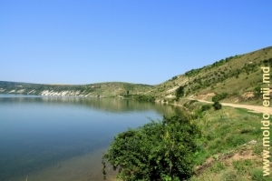 Malurile lacului de acumulare din satul Molovata Veche