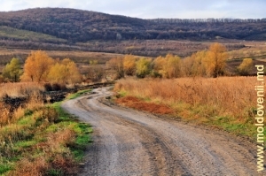 Valea rîului Bîc între Calaraşi şi Bucovăţ