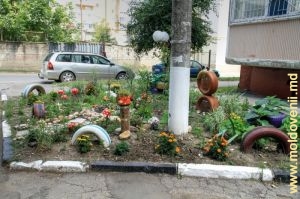 Straturi decorative de flori lîngă blocul 20/2 din strada Sadoveanu