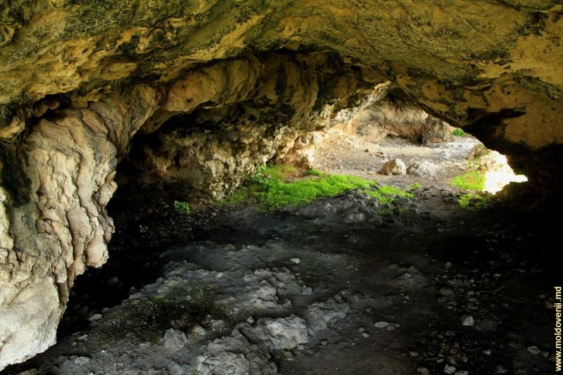 Peșterile paleolitice din nordul Moldovei (Foto)