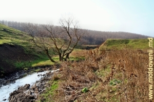 Rîul Cuşmirca în preajma satului Lelina, pe fundal se întrevede scufundătura din barajul fostului lac de acumulare