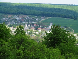 Vedere spre satul Căpriana şi mănăstire vara, Străşeni