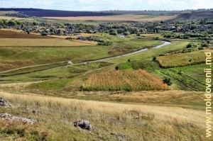 Valea rîului Ciuhur în preajma satului Pociumbăuţi, Rîşcani. Vedere de pe panta defileului