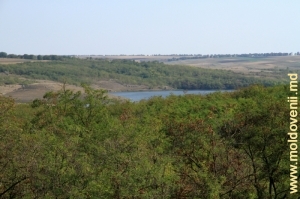 Vedere spre lacul de acumulare Racovăţ, partea lui superioară