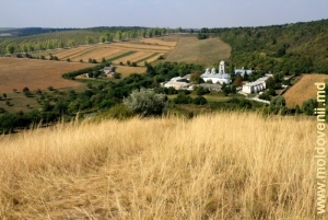 Вид на монастырь Добруша и его окрестности с вершины горы «Голгофа»