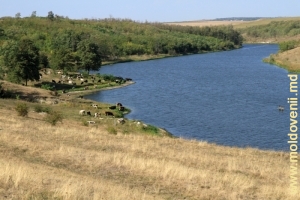Malurile pitoreşti ale lacului de acumulare în partea sa mediană