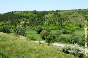 Valea rîului Ichel lîngă satul Goian