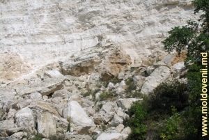 Меловые глыбы, осыпавшиеся со склона ущелья над Рашковом