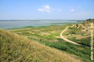 Malul lacului Rotunda de lîngă satul Manta, raionul Cahul