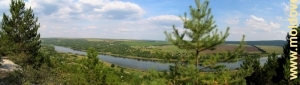 Панорама Днестра у с. Кременчуг, Сорока