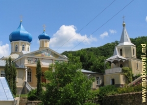 Vedere spre mănăstirea Calaraşovca, plan mediu