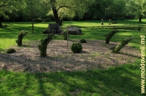Ботанический сад, апрель 2012