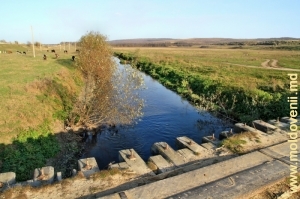 Река Бык у села Рошкань, Анений Ной