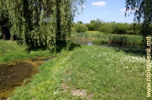 Воды источников, впадающие в реку Куболта в селе Плоп