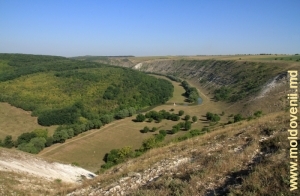 Общий вид долины Реута за селом Требужень со склона на окраине села