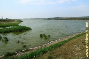 Lacul de acumulare din satul Congaz, Comrat