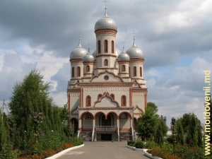 Catedrala de la Drochia, plan mediu