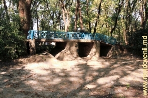 Живописный мостик в глубине парка