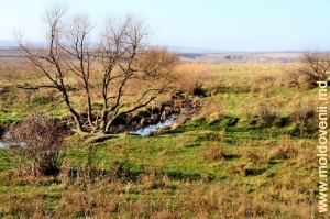 Rîul Cuşmirca şi valea rîului dintre satele Ţipordei şi Cuşmirca