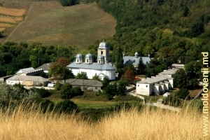 Вид на монастырь Добруша и его окрестности с вершины горы «Голгофа», ближний план