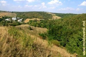 Вид на монастырь Добруша, ущелье и заповедный лес