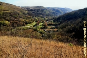 Вид на долину реки Косарэу с вершины левого склона Рудого яра