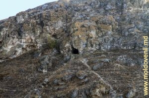 Пещера в скале над Рэутом у села Похорничень