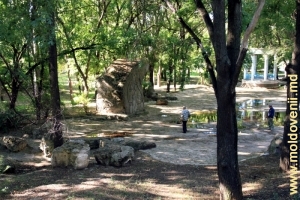 Вид на парк со склона восточного холма