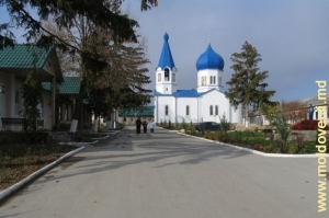 Curtea Mănăstirii Frumoasa, 2008