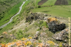Rîul Racovăţ în defileul de lîngă satul Buzdugeni, Edineţ