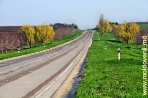 Drum de primăvară, raionul Teleneşti