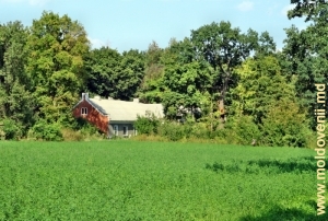 Вид на поместье через поле с юго-востока