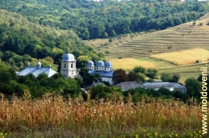 Вид на монастырь Добруша, Шолдэнешть с подъездной дороги 