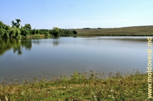 Lacul de acumulare din satul Bălcăuţi, Briceni