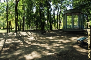 Часть парка у ротонды