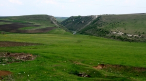 Vedere spre defileu din partea satului Buzdugeni